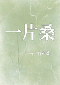 皮囊之罪（NP)