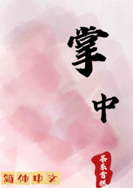 消失的蝴蝶发夹