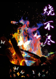 仙途漫漫且徐行