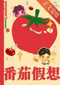 番茄假想